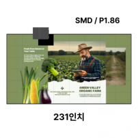 LED벽부착형 안내전광판 231인치 SMD 1.86mm TZL-IG-P018(231) 전화문의1599-0479